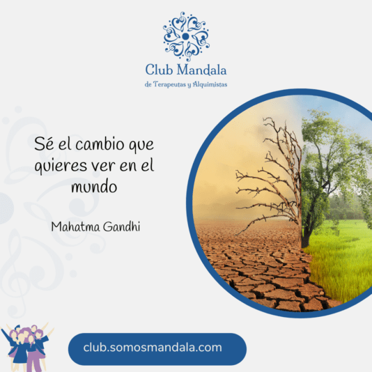 frase 6-11