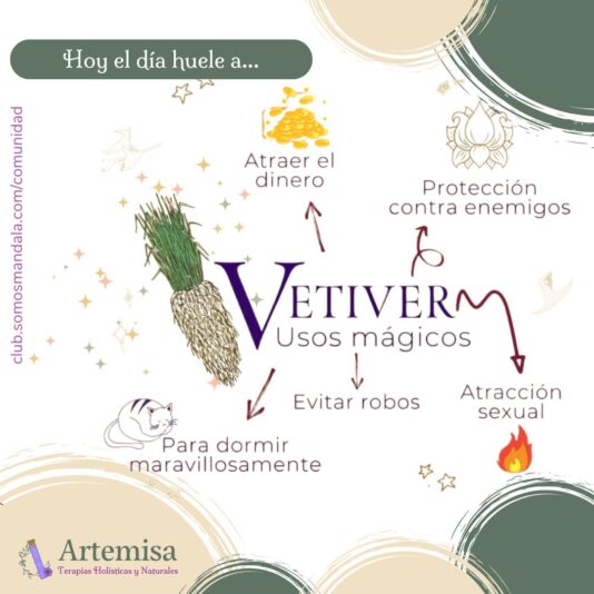 Frase Artemisa (2)
