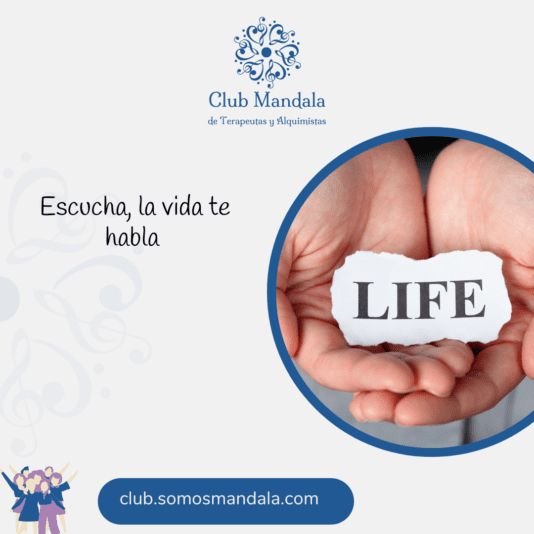 frase 12_11
