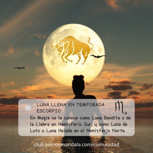 Diseños para comunidad (1)