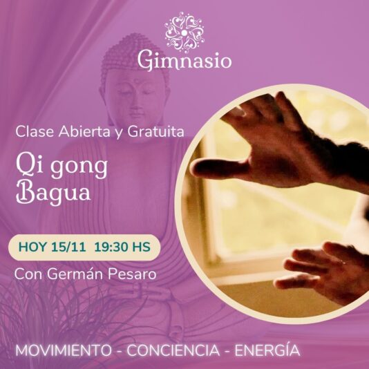 Clases Nei gonog y Qi gong
