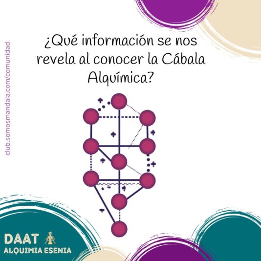 Frase Comunidad