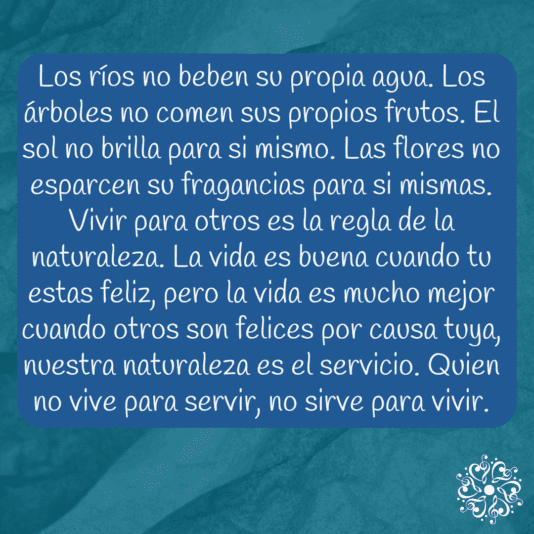 frase 19-11