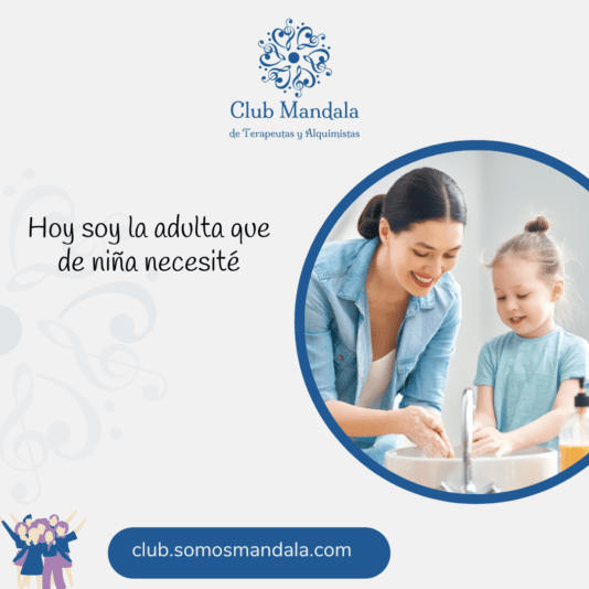 frase del 20-11