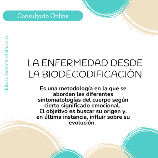 consultorio terapeutico 25-11