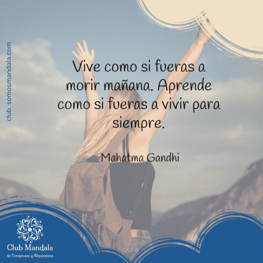 28-11 frase