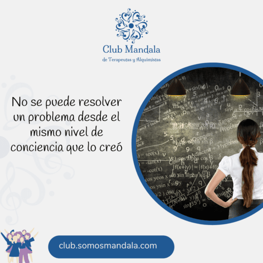 frase del 29-11