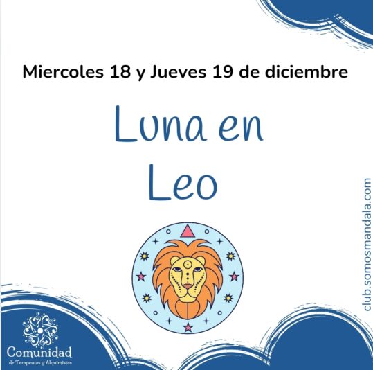 Screenshot_20241218_090926