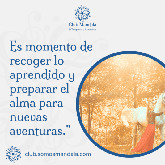 frase del 20-12