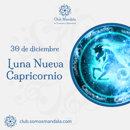 Diseño Evento_20241229_095845_0000