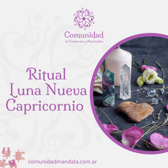 Diseños Comunidad_20241229_100005_0000