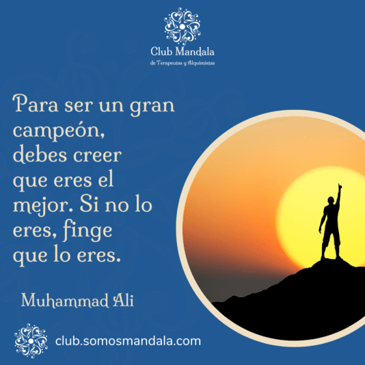 frase 3-01