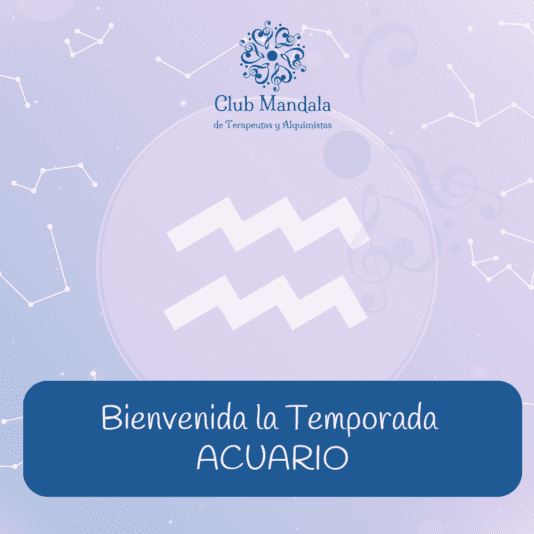 Copia de Diseños Club Mandala_20250118_235759_0000