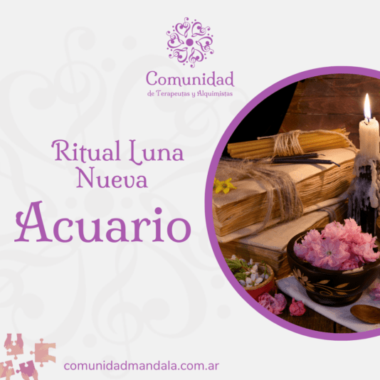 Diseños Comunidad_20250128_221650_0000