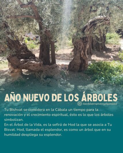 Tu Bishvat 2