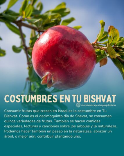 Tu Bishvat 6