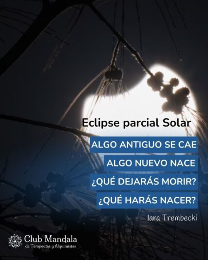 Frase con foto