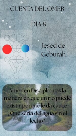 Día 8