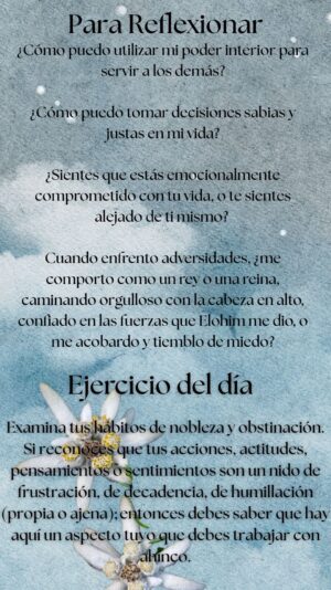 Reflexion dia 28