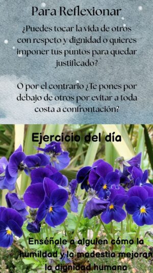 Reflexion dia 35