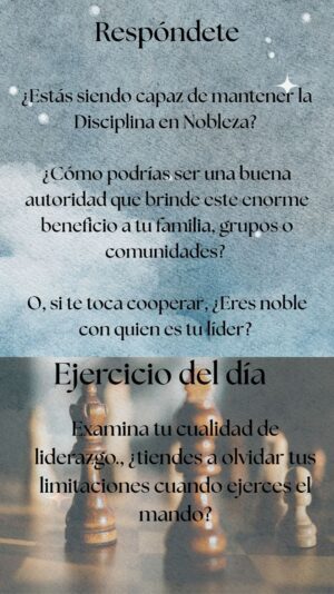 Reflexion dia 44