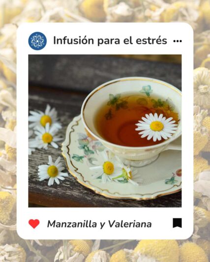 Consigna con foto