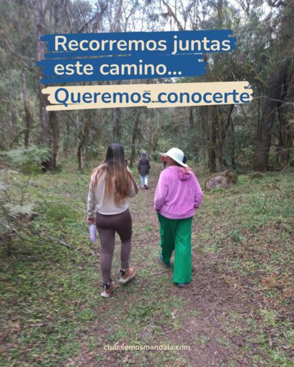 Diseños Club (1)