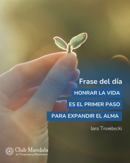 Frase con foto (3)