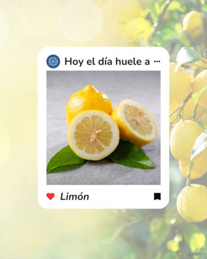 Consigna con foto