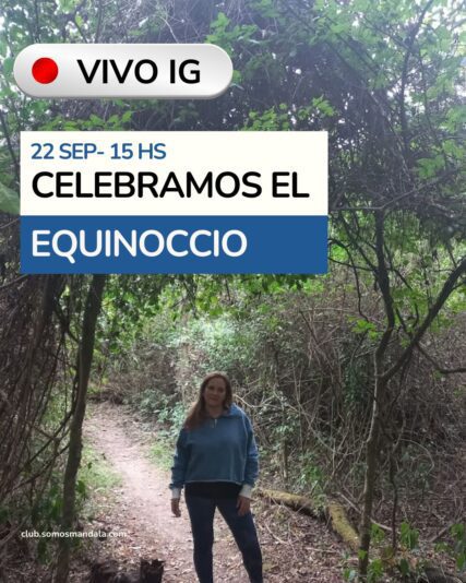 Herramientas para Terapeutas