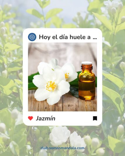 Consigna con foto
