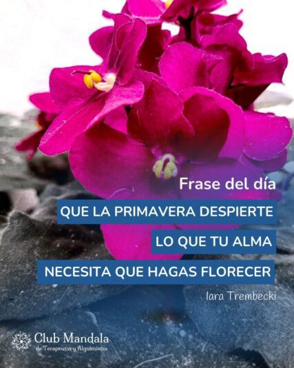 Frase con foto (7)