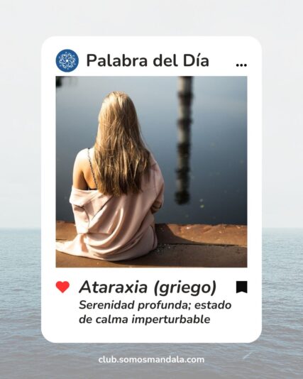 Consigna con foto