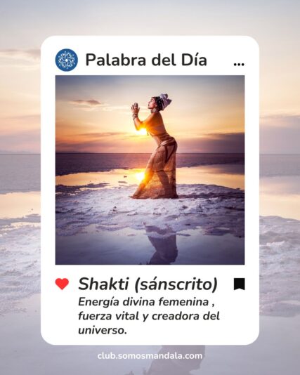 Consigna con foto (1)