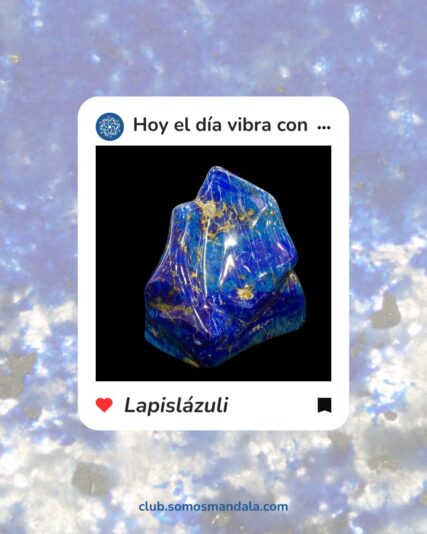 El Día vibra con