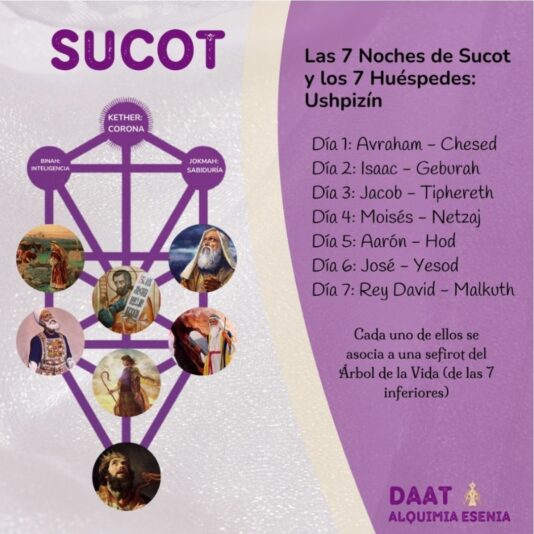 Diseño sin título