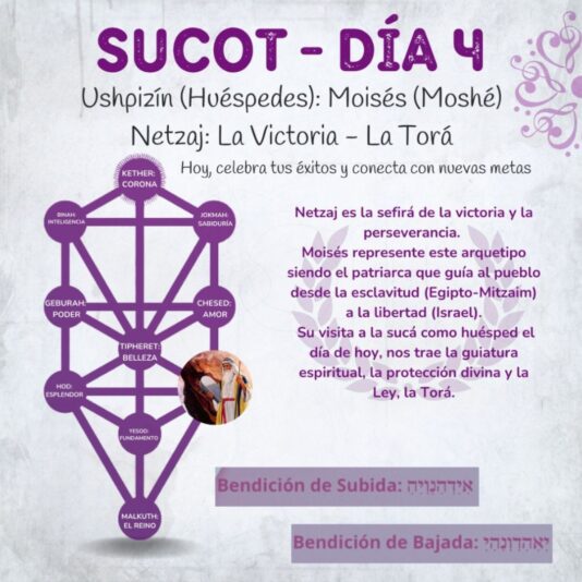 Sucot Club (1)