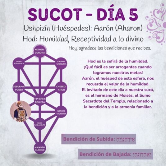 Sucot Club (2)