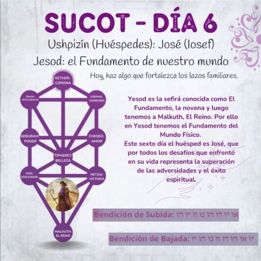 Sucot Club (3)