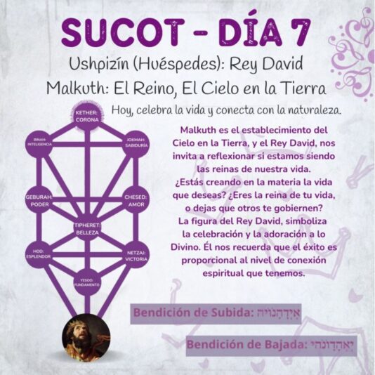 Sucot Club (4)