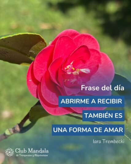 Frase con foto (1)