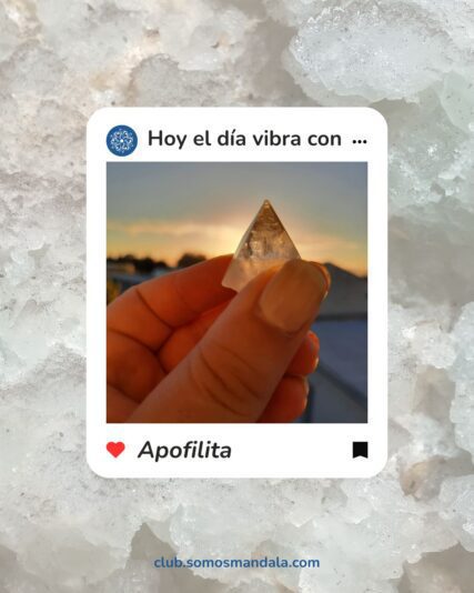 El Día vibra con