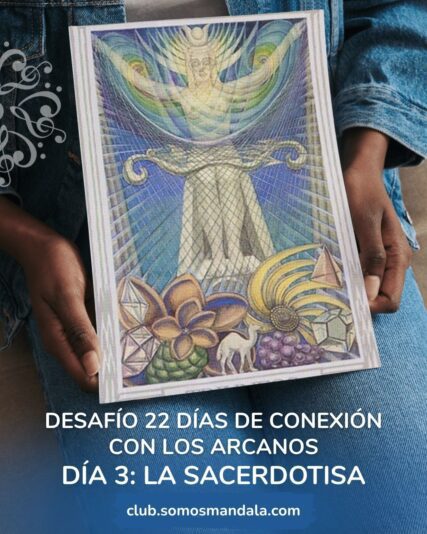 Desafío (4)