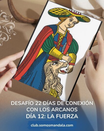 Desafío (5)