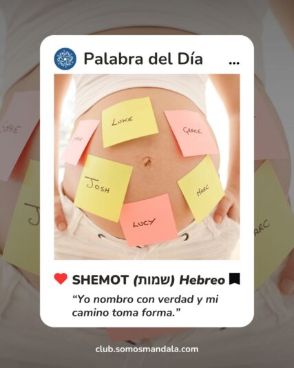 Palabra del día