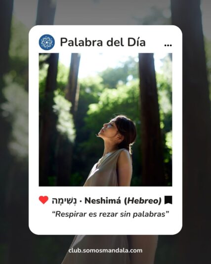 Palabra del día