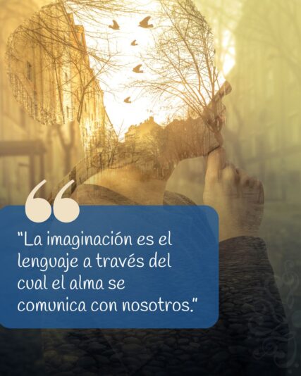 Frase del día