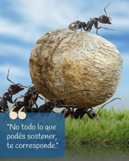 Frase del día