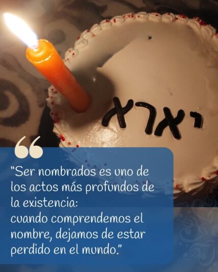 Frase del día
