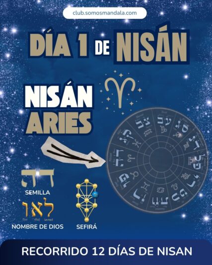 Diseños Club